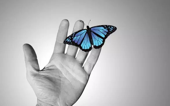 你知道什么是“共有商標(biāo)”嗎？