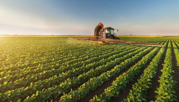 培育農(nóng)產(chǎn)品商標，助力精準扶貧