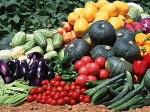 培育農(nóng)產(chǎn)品商標，助力精準扶貧